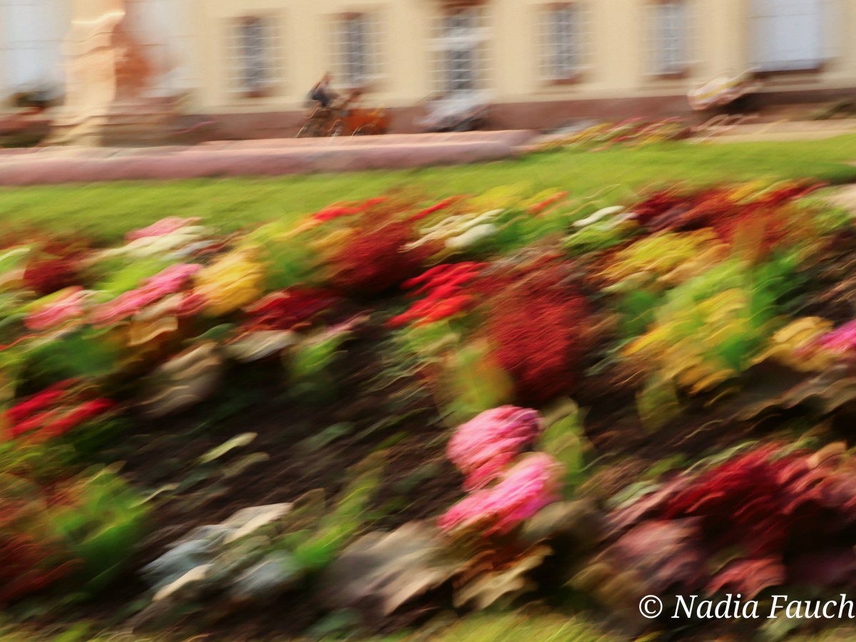 Quand la photographie devient peinture : J&rsquo;ai testé l&rsquo;effet slow shutter en&nbsp;photographie