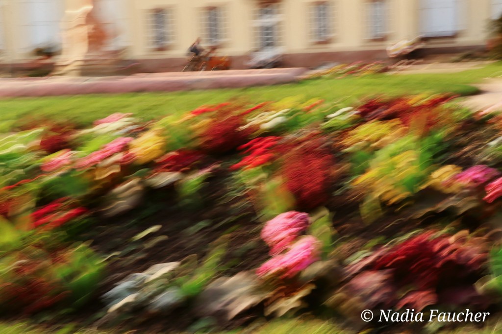 Quand la photographie devient peinture : J&rsquo;ai testé l&rsquo;effet slow shutter en&nbsp;photographie
